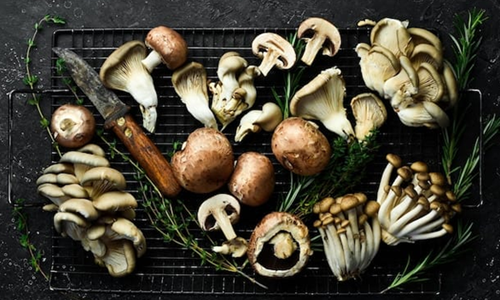 Cooking with Fungi: A Culinary Adventure with Mushrooms