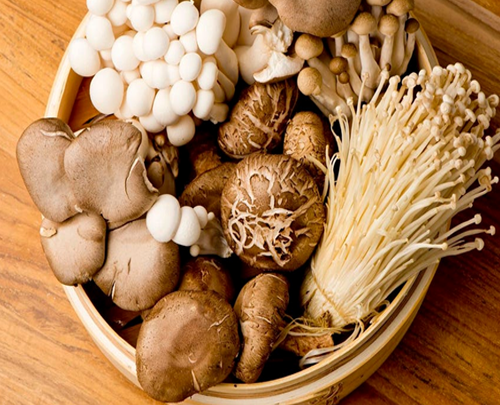 From Humble Fungus to Functional Powerhouse: A Dive into the Wonderful World of Mushrooms