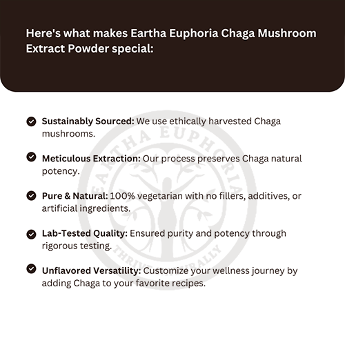 Chaga Mushroom Extract Powder