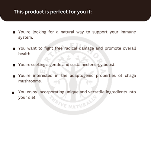 Chaga Mushroom Extract Powder