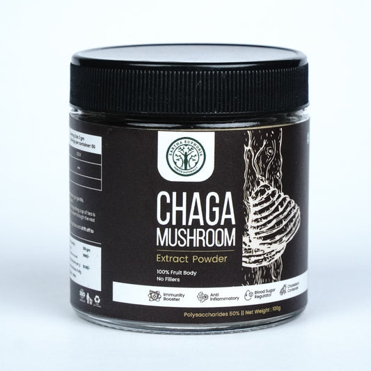 Chaga Mushroom Extract Powder