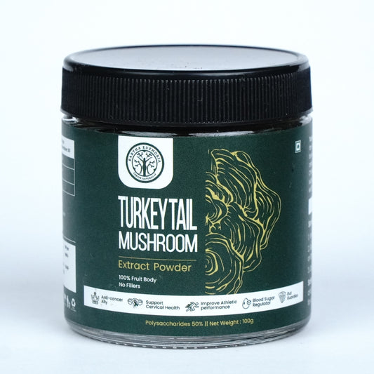 Turkey Tail Mushroom Extract Powder