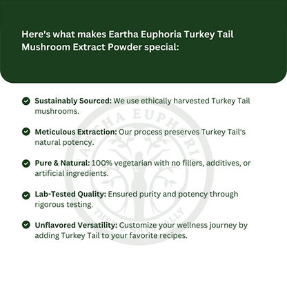 Turkey Tail Mushroom Extract Powder